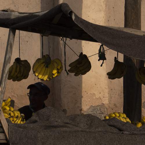 Photo #11169982