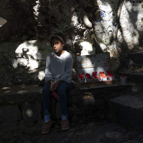 Photo #11169990