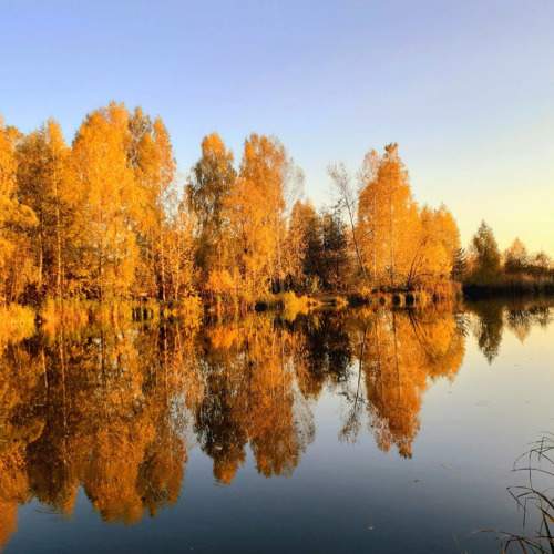 Золото осени