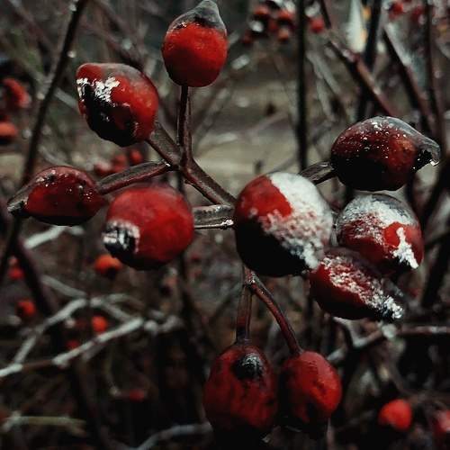 Photo #11170325