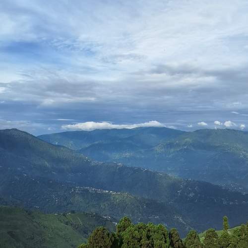 Darjeeling Valley
