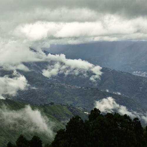Photo #11170534