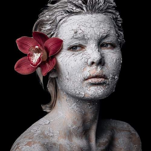 Photo #11170563