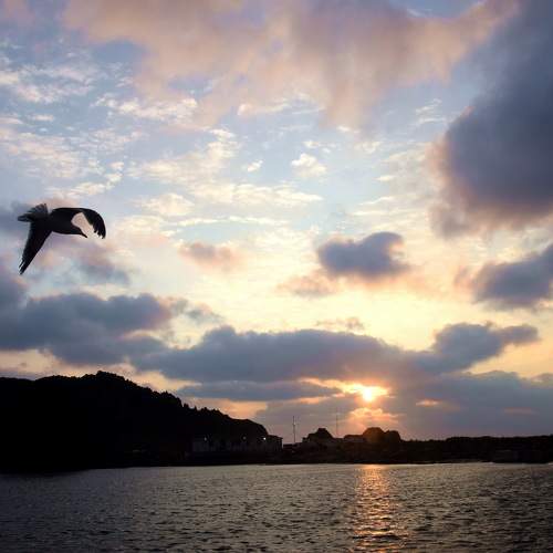 Photo #11170642