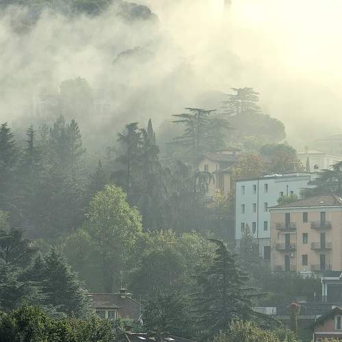Photo #11170679