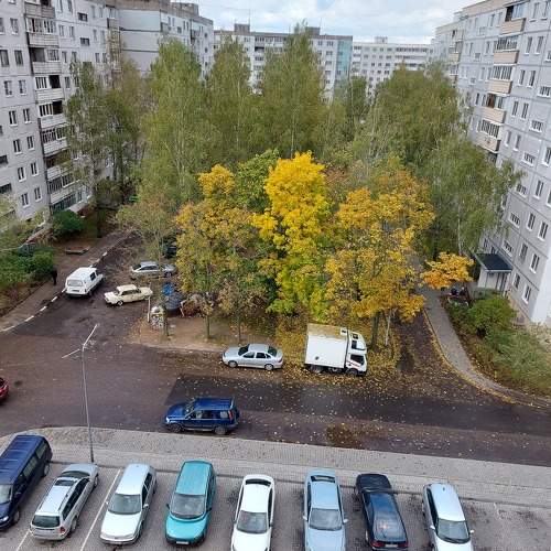 Photo #11170793