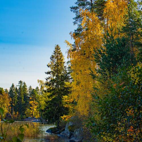 Photo #11171256