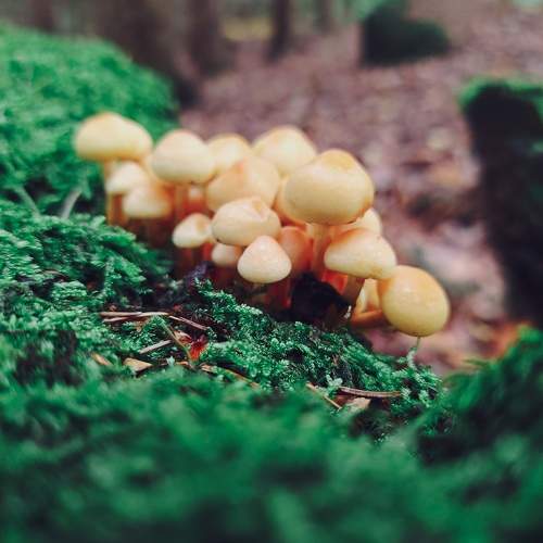 Photo #11171452