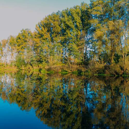 Photo #11171557