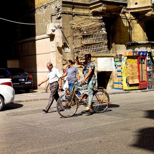 Photo #11172154