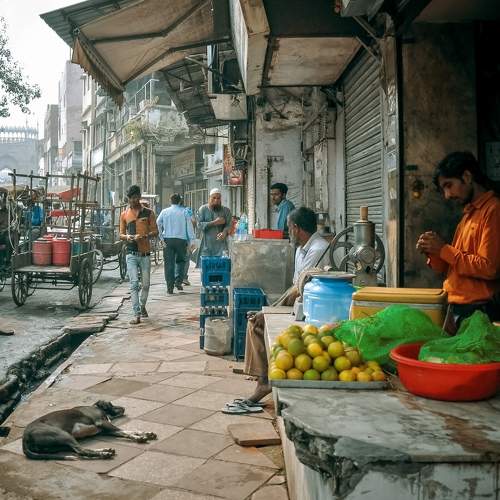 Photo #11172157