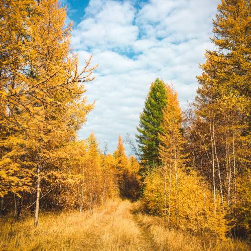 Photo #11172282