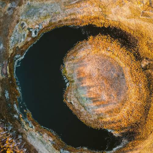 Photo #11172288