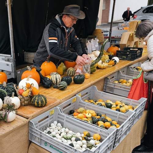 Photo #11172291