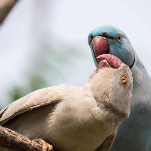 Photo #11172418