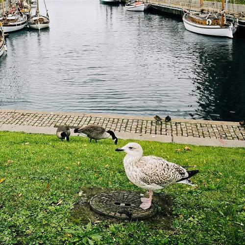 Photo #11172428