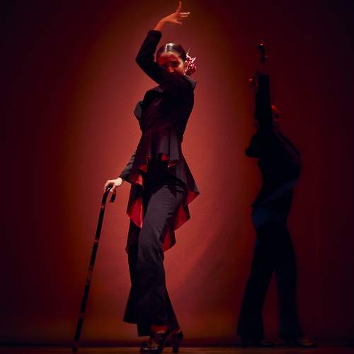 Photo #11172578