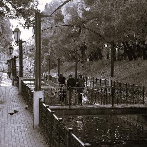 Photo #11172584