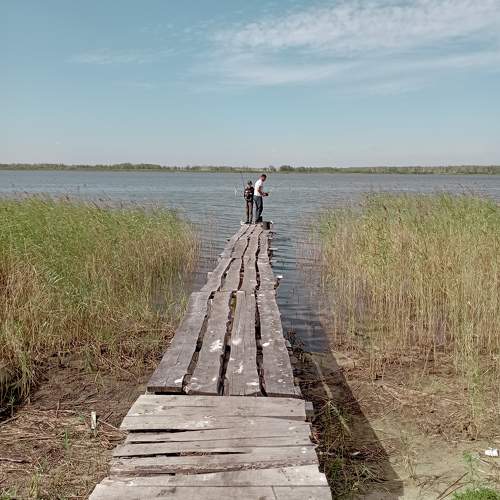 Photo #11172697