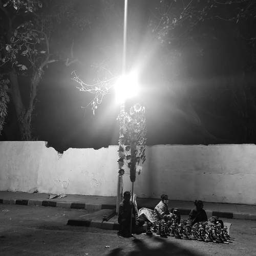 Photo #11172916