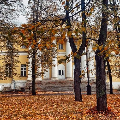 Photo #11172961