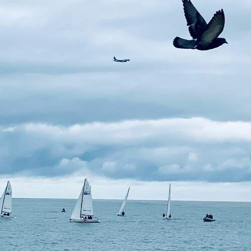 Photo #11172998