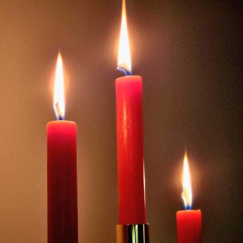 Photo #11173421