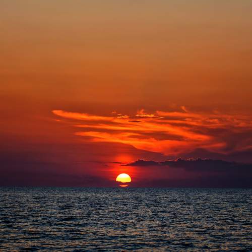 Photo #11173428