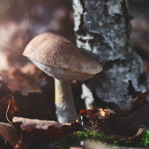 Photo #11173603