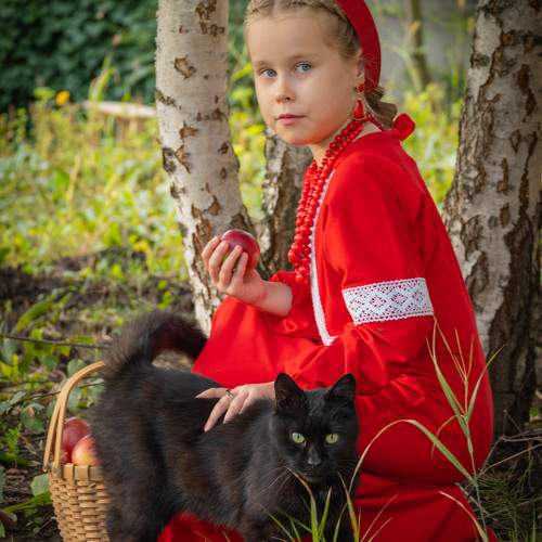 Photo #11173689