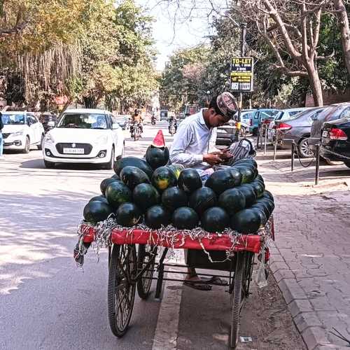 Photo #11173700