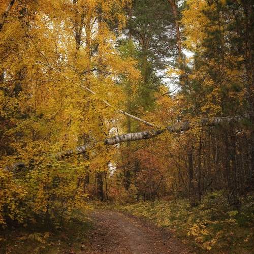 Photo #11173986