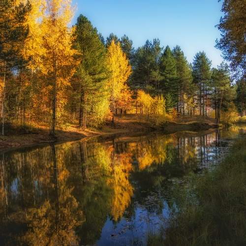 Photo #11173989