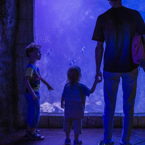 Photo #11174109