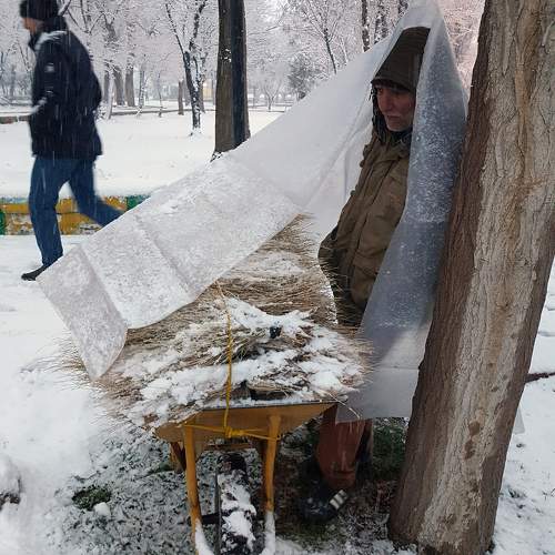 Photo #11174293