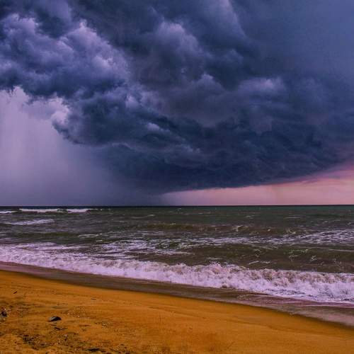 Photo #11174324