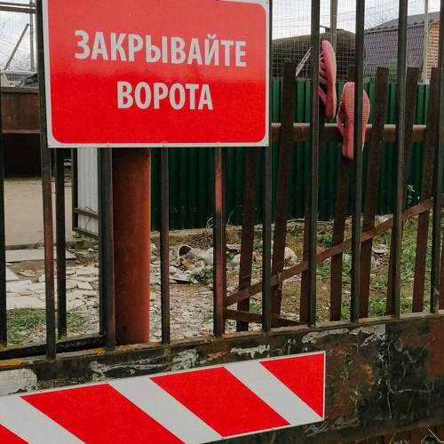 Photo #11174356