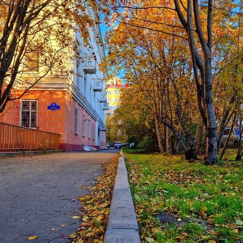 Photo #11174709
