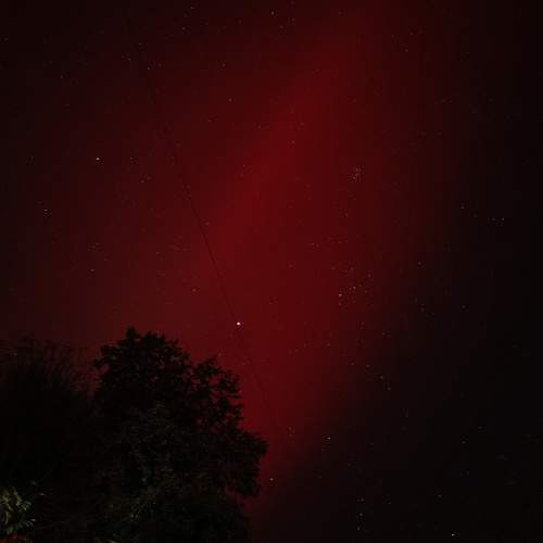 Photo #11174799