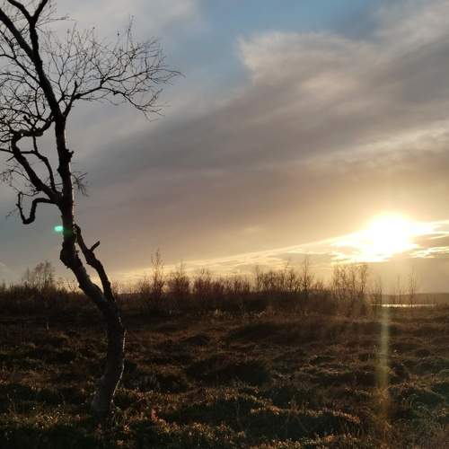 Photo #11174837