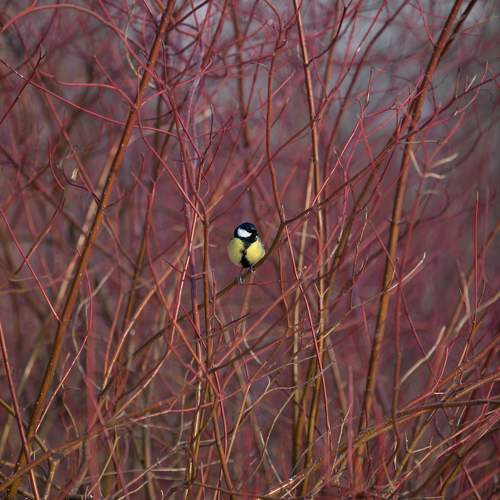 Photo #11175364