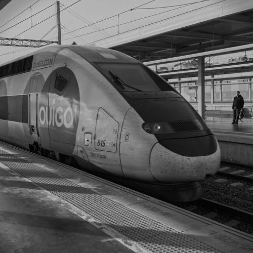 Photo #11175402