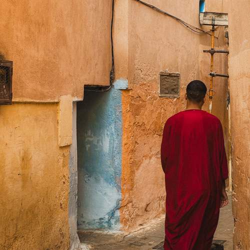 Photo #11175530