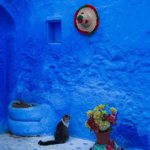 Photo #11175613