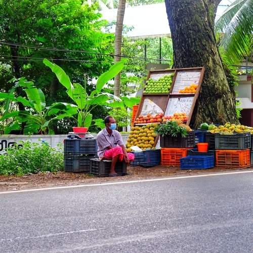 Photo #11175797