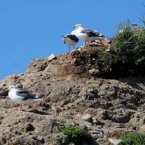 Photo #11175924