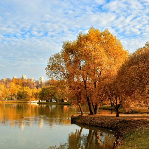 Осень в Царицыно