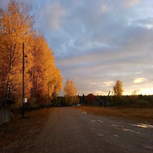 Photo #11175978