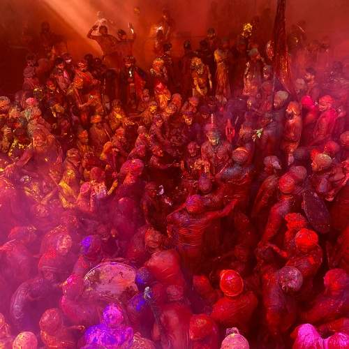 Photo #11176285