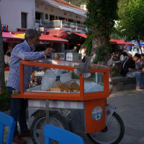 Photo #11176508